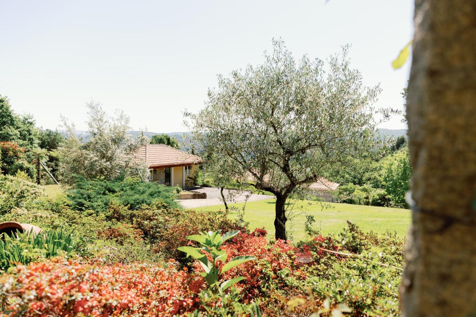 The Fox House - Private Villa & Nature São Pedro do Sul Extérieur photo